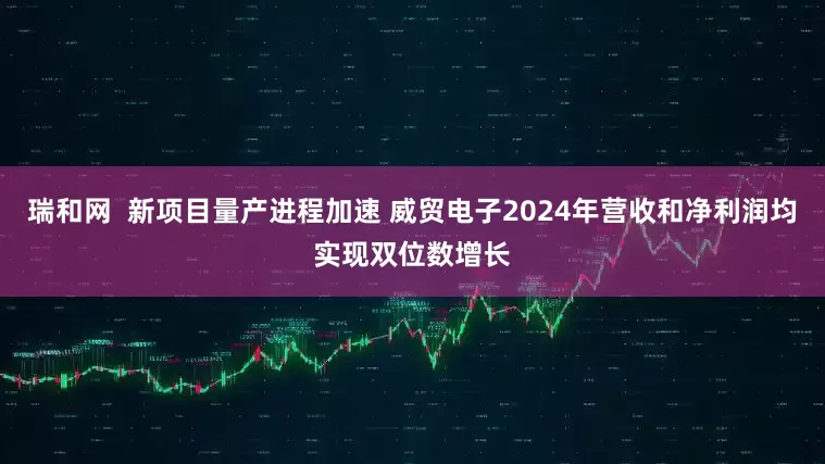 瑞和网  新项目量产进程加速 威贸电子2024年营收和净利润均实现双位数增长