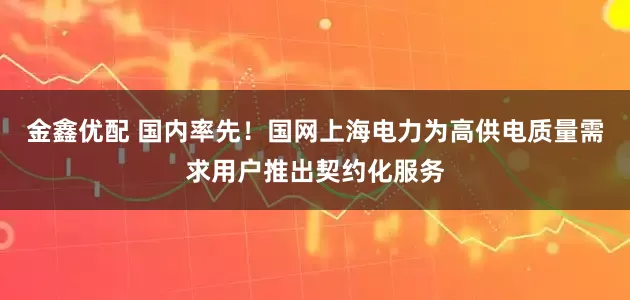 金鑫优配 国内率先！国网上海电力为高供电质量需求用户推出契约化服务